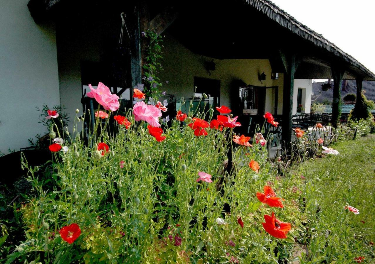 Villa Wodne Ogrody Dobczyce Exterior foto